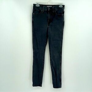 Madewell 10” High-Rise Skinny Jeans  | Size 28